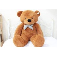 Middle Teddy Bear 10