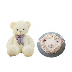 GET WELL GIFT CAKE WITH  TEDDY BEAR