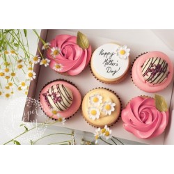CUP CAKES  6 PC