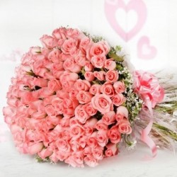 pink roses 100 pc