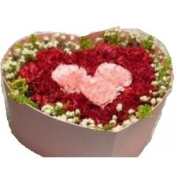 carnation flowers in box