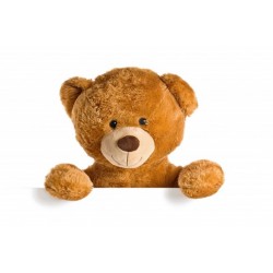 Teddy Bear size 80 cm