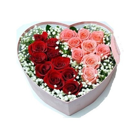 rose flower mix in box