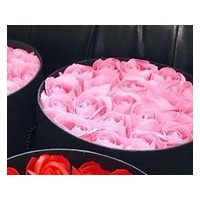 Pink 18 roses in box