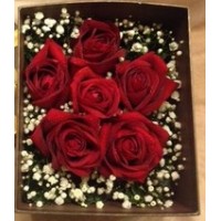 6 rose in box