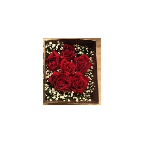 6 rose in box