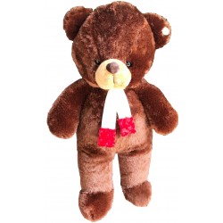 The  teddy bear size 1.20 meter (delivery in 2 day)