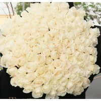 100 white roses