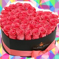 Pink roses in box for Valentine