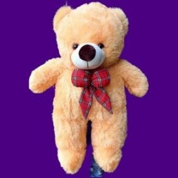Teddy Bear 70 cm
