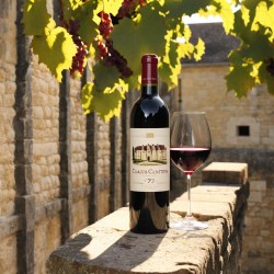 Château Cantin Saint-Émilion Grand Cru 7: A Symphony of Elegance and Terroir