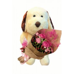 CONGRATULATIONS GIFT FLOWERS  WITH DOLL 25